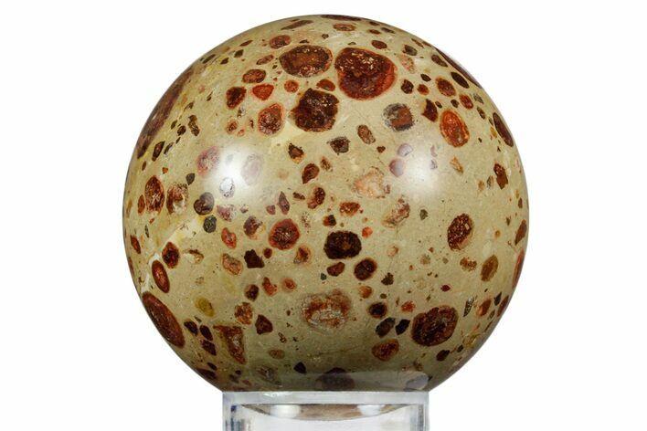 Polished Bauxite (Aluminum Ore) Sphere - Russia #354241